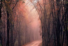 世界杯竞彩-南非法院裁决前总统祖马限期结清律师费