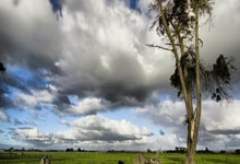 世界杯平台-土球台起步 上海乒乓球以多元路径培养后备力量